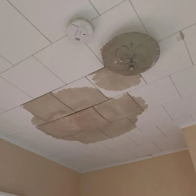 Ceiling Water Damage Repair in Deville, LA