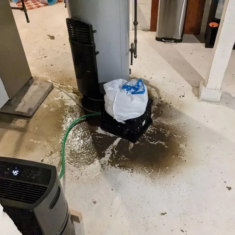 Sewage Backup Cleanup Service in Deville, LA